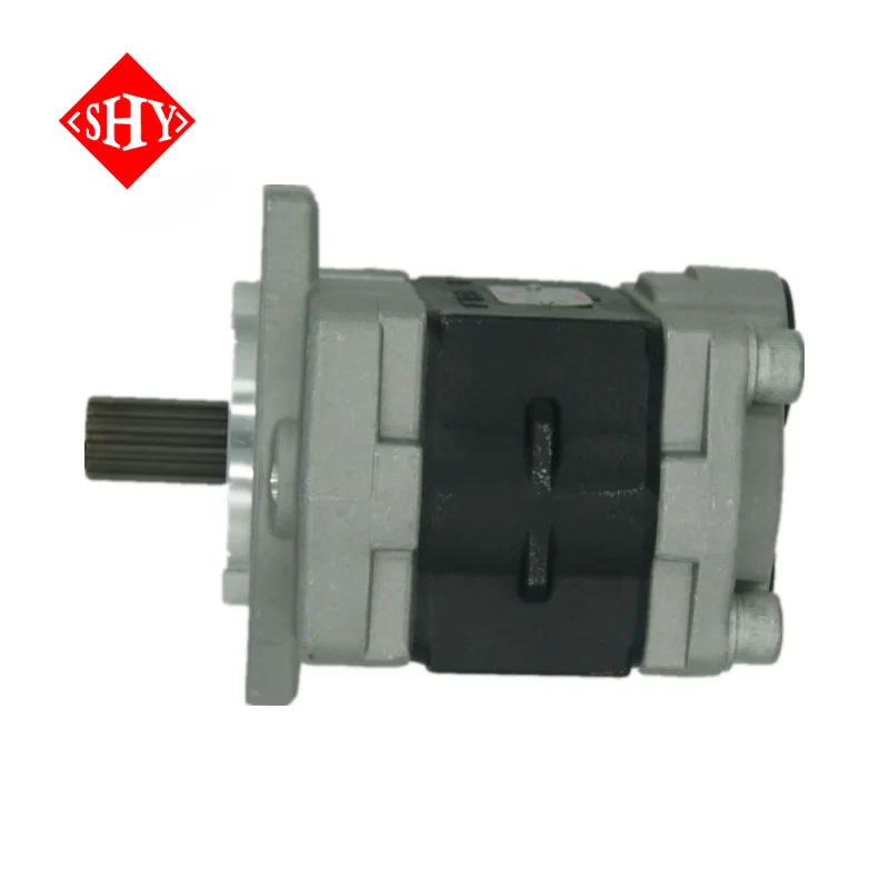 SGP SGP1 Series SGP1-25 High Pressure Hydraulic Gear Rotary Oil Pump