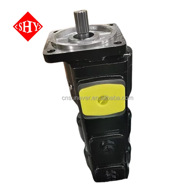 PGP PGM PGP610 PGP620 PGP640 PGM610 PGM620 PGM640 Gear Oil Pump 3339121186 PGP517B0160CD1H3VE6E5S-517A016 0VE6E5B1B1