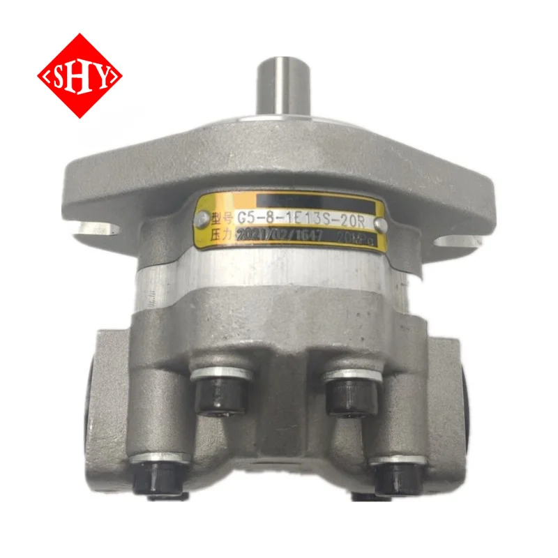 Hydraulic Gear Pump GM5 Series GM5-12-1F13S-20 GM5-5 GM5-6 GM5-8 GM5-10 GM5-12 GM5-16 GM5-20 GM5-25 GM5-30