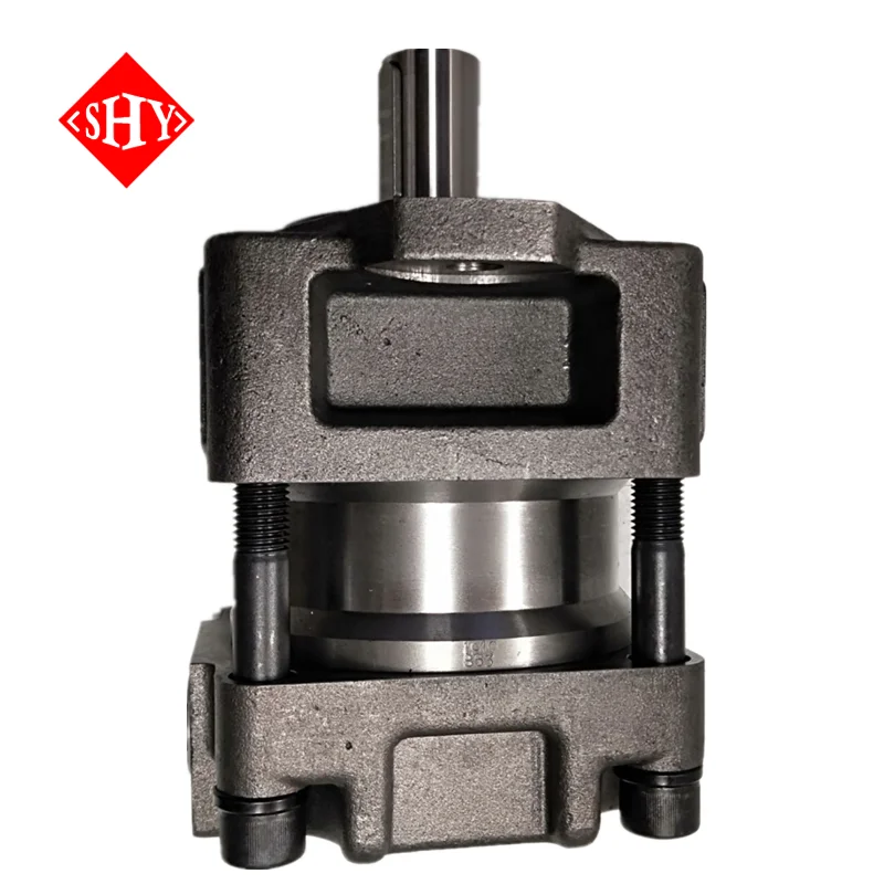 Hydraulic Oil Gear Pump QT QT31 QT41 QT51 QT61 QT22 QT32 QT42 QT52 QT62 QT23 QT33 QT43 QT53 QT-52-55F-Z