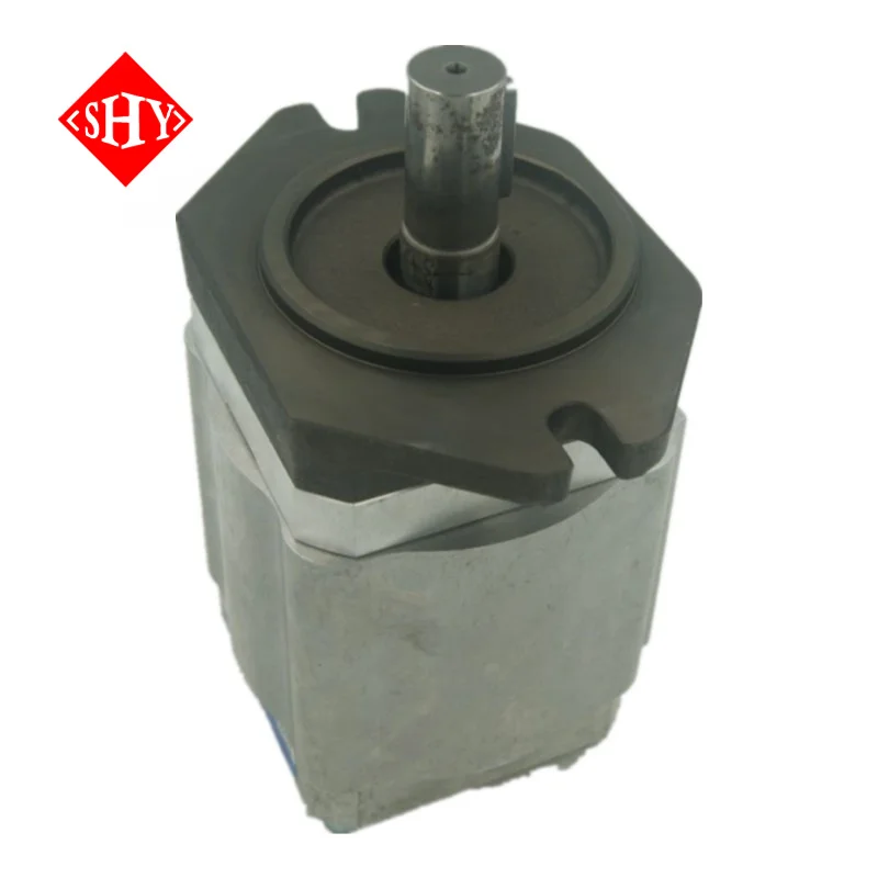 High Pressure Internal EIPC6-125RA23-11 EIPC5-100RA23-10 EIPC EIPC3 EIPC5 EIPC6 Series Hydraulic Oil Gear Pump