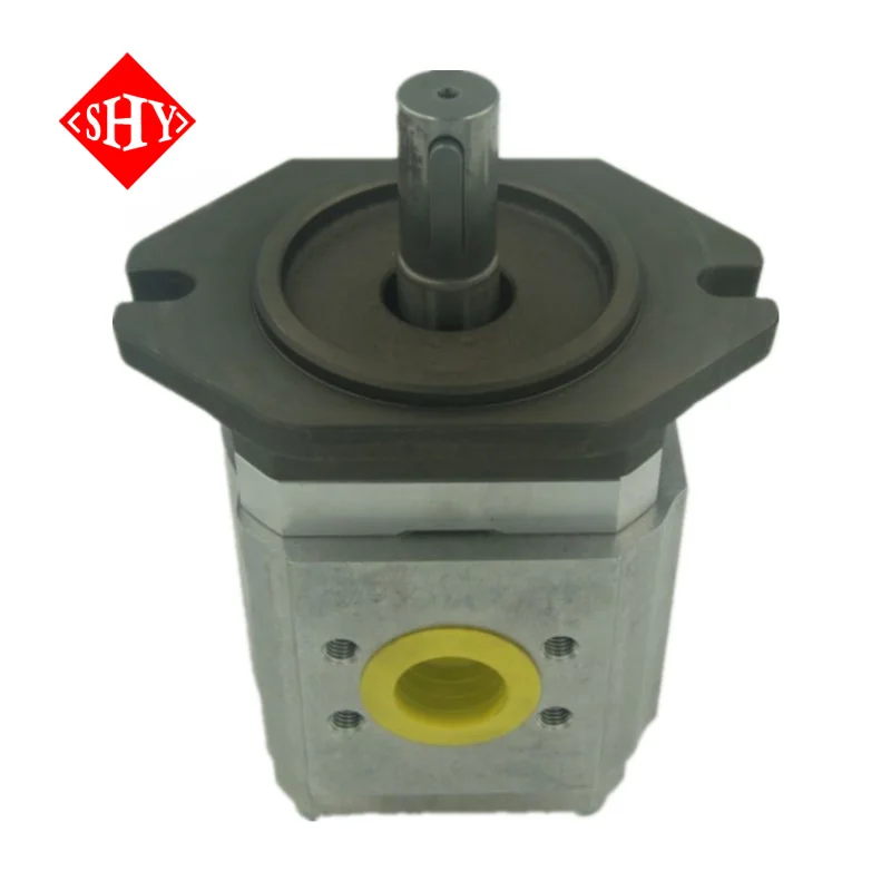 EIPC5-0800RSD03 EIPC5-080RA23-10 890-EL-0800-RS2-C503 Servo Gear Pump for Injection Molding Machine