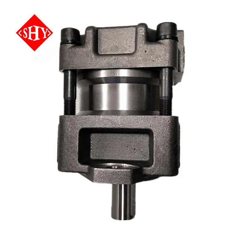 QT QT42 QT52 QT62 QT63 QT4N QT6N QT8N High Pressure Internal Gear Pump QT6N-100-BP-Z QT31 QT41 QT51 QT61