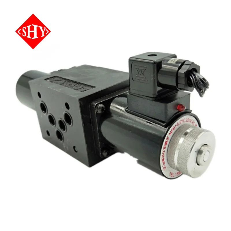 T22BH T22EH Hydraulic Solenoid Valve T22EH-B6H T22BH-B6H 230V AC 24V 220V 380V 250V